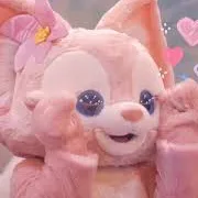 ◞(๑•͈ᴗ•͈)◞🧡 banner