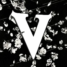 Valk™ | PC Services banner