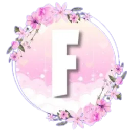 ◜　 ♡　　𝘧𝘯𝘨　　₎ banner