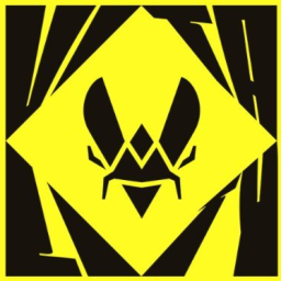 TEAM VITALITY banner