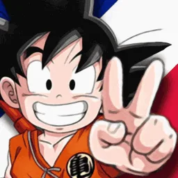 Dragon Ball FR banner