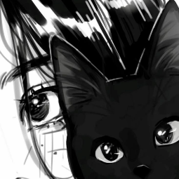Euphoria banner