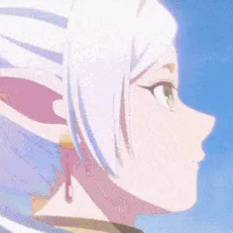 Nocturnal banner
