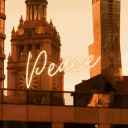 Peace X Vibes banner