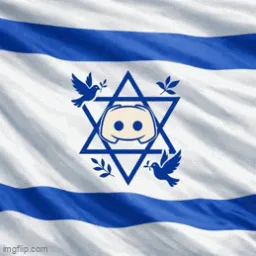 Jewish Guild IL banner