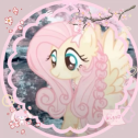 🌸　ノfluttershy　୨୧　tagsㆍgiveαwαysㆍsociαl banner