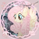 🌸　ノfluttershy　୨୧　tagsㆍgiveαwαysㆍsociαl banner