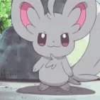 Chinchilla Leaks banner