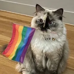 LGBTQIA+ Merkezi Türkiye banner