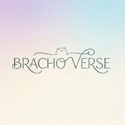 BRACHO VERSE 🌈 banner