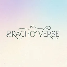 BRACHO VERSE 🌈 banner