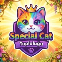 𓆩✧𓆪    Special Cat #Yükseliş banner
