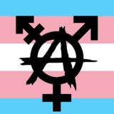 Gender Anarchy! banner
