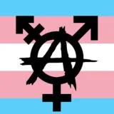 Gender Anarchy! banner