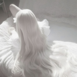 ꒰ა ﹒chérie  ⸝⸝ banner