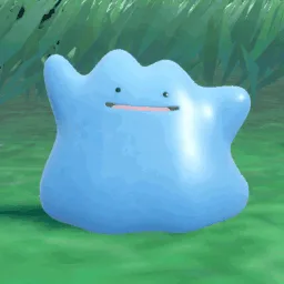 morebreedingdittos banner
