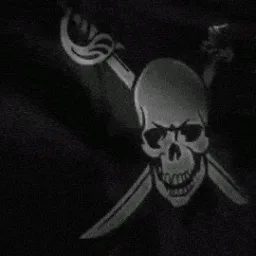 Rev's Pirate Bay banner