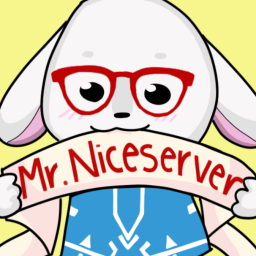Mr.Niceserver banner