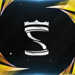 Stizo Server banner