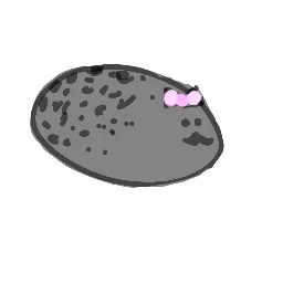 seals!  ⋆ ˚｡ /sealtag banner