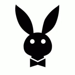 Playboy banner