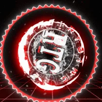 RTGinc Customz banner