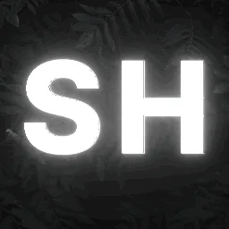 StxrLxnder’s Hub banner