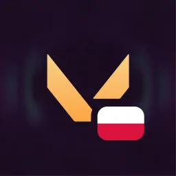 VALORANT Polska banner