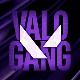 VALORANT GANG banner