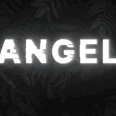 ANGEL banner