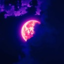 Dzukill banner