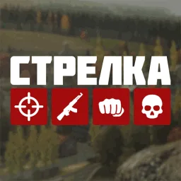 Strelka Dayz banner