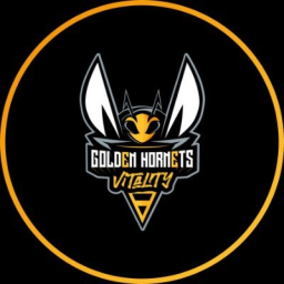 Golden Hornets banner