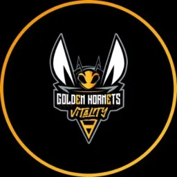 Golden Hornets banner