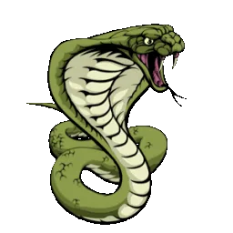 ChriSnake banner