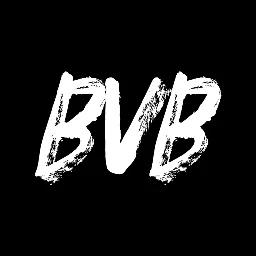 BVBSERVER.COM banner