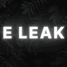 E LEAK REPLACE ! banner