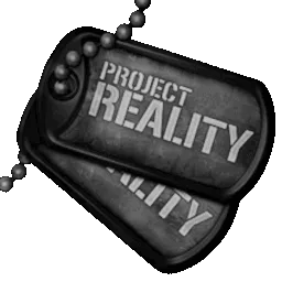 Project Reality banner