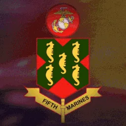 5th Marine Regiment - 5thmr.org banner