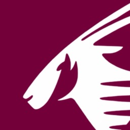 Qatar Airways PTFS banner