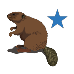 San Andreas Republic banner