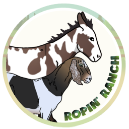Ropin' Ranch banner