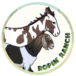 Ropin' Ranch banner