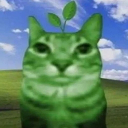 plant's stuff banner