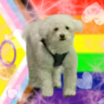 Mr. Technodad banner