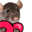 HyperRats banner