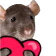 HyperRats banner