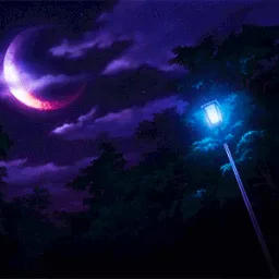 Zona Morada banner