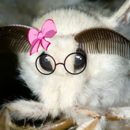 MOTH HEAVEN banner