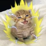 Cat Fighting Games banner